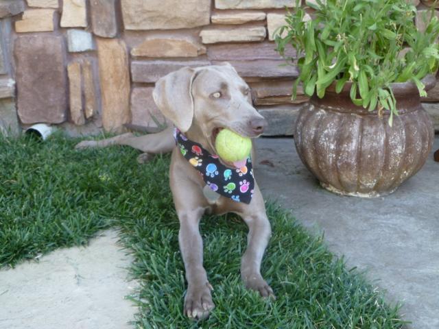 Kori holding ball